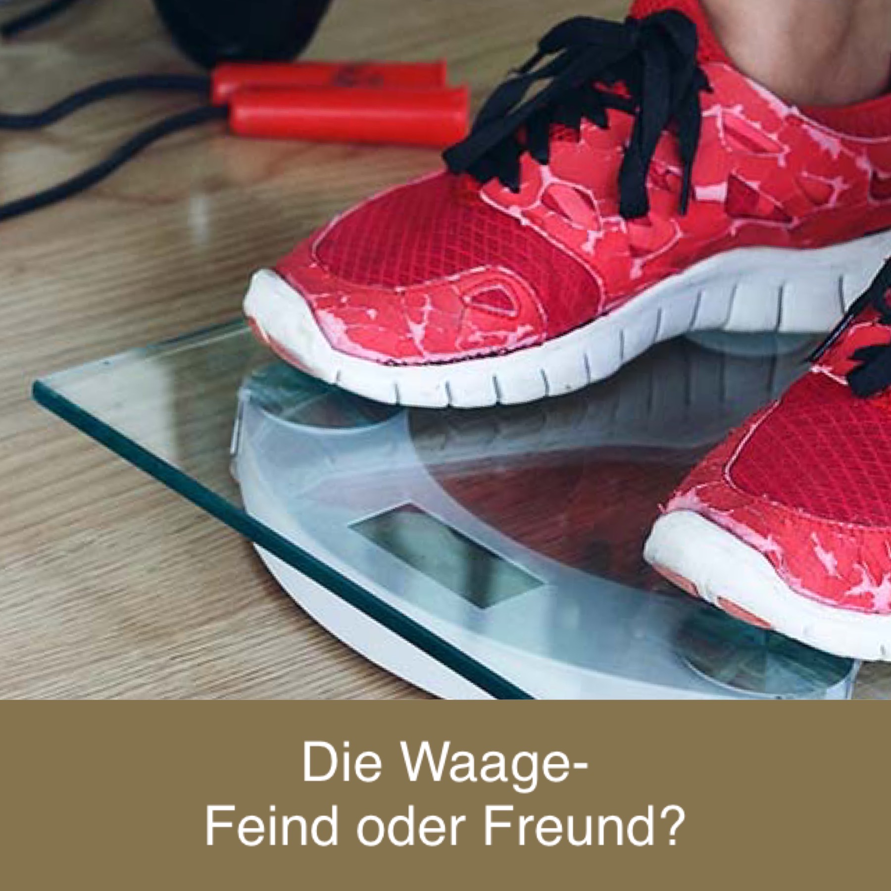 DIE WAAGE - Feind oder Freund?